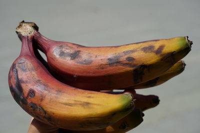 Close-up of bananas