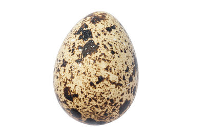 Close-up of fruit against white background