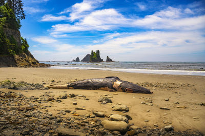 Scenic view of beach against sky