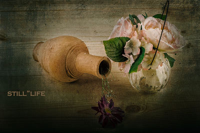 Directly above shot of potted plant on table