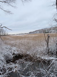 Scenic view of field against sky during winter