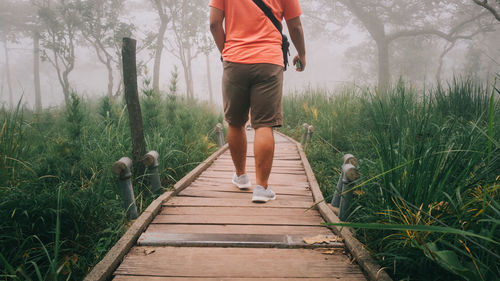 Low section of man walking on boardwalk amidst plants during foggy weather