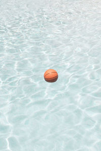 High angle view of ball in swimming pool