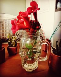 Close-up of potted plant on table