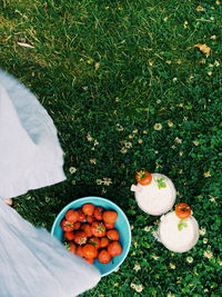 Fruits bowl on field