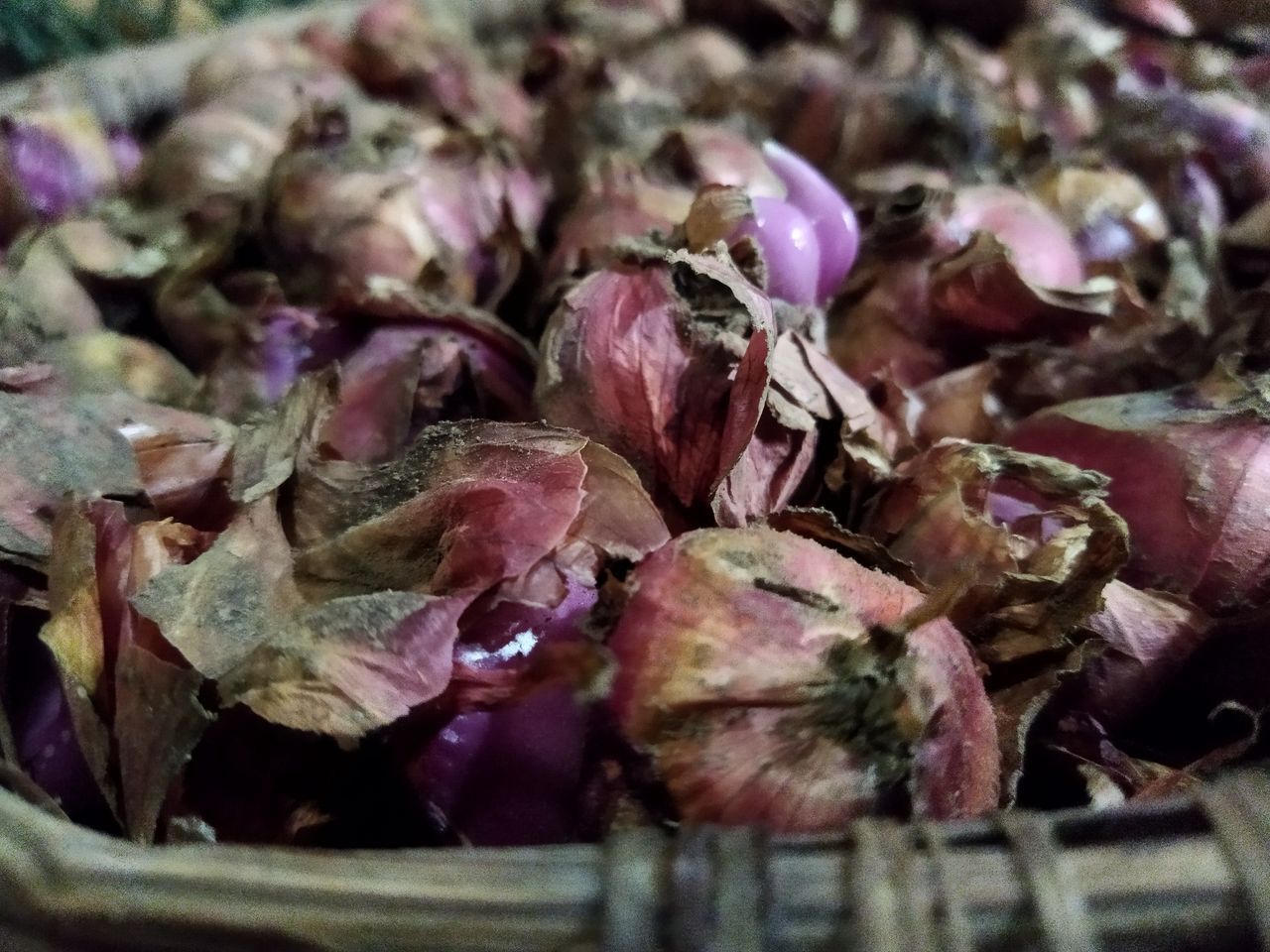 food and drink, food, freshness, shallot, purple, vegetable, produce, flower, close-up, healthy eating, wellbeing, no people, plant, large group of objects, red onion, still life, selective focus, abundance, market, indoors, onion, raw food, petal