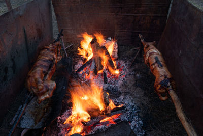 Two whole pigs roasting on a spit