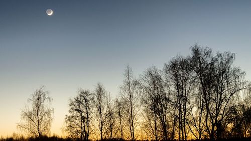 Low angle view of bare trees against clear sky