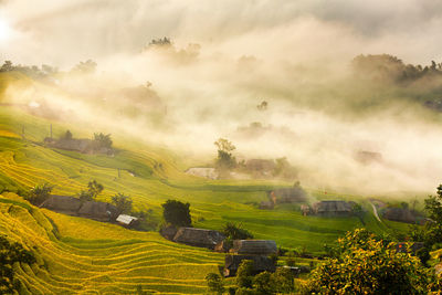 Scenic view of terraced fields at phung village.