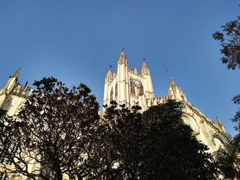 Low angle view of trees and building against sky