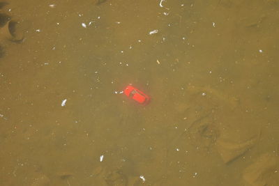 Low angle view of sky