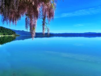 Scenic view of lake against blue sky