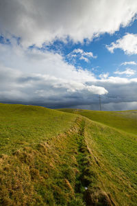 Scenic view of field against sky