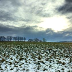 Scenic view of field against sky during winter