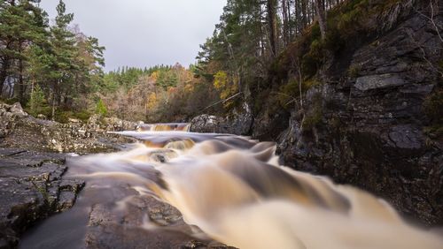 View of waterfall in forest