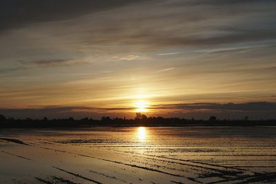 Scenic view of field against sky during sunset