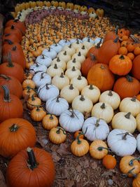 High angle view of pumpkins for sale at market stall