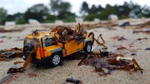 Close-up of a toy car at the beach