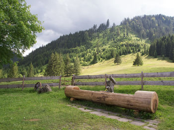 Horse cart on field against sky