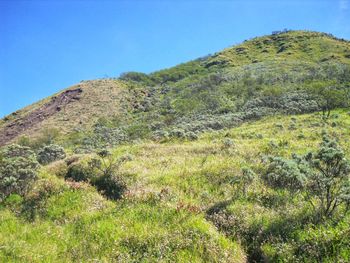 Scenic view of mountains against clear blue sky