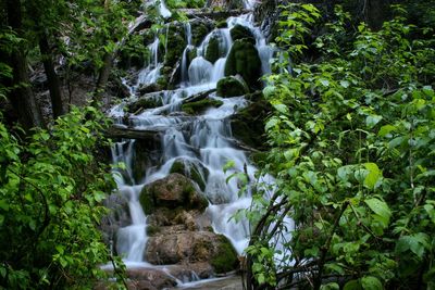 Scenic view of waterfall in forest