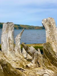 Close-up of driftwood on wooden post by sea against sky