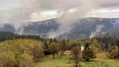 Panoramic shot of trees on field against sky