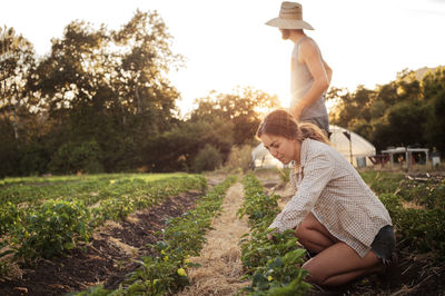 Female farmer working on field while man standing during sunny day