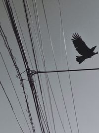 Low angle view of power lines