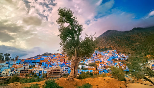 
blue city of chefchaouen, morocco, north africa, africa