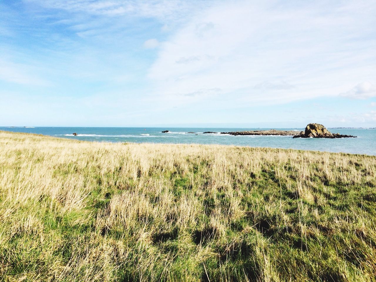 horizon over water, sea, water, tranquil scene, sky, tranquility, grass, scenics, beauty in nature, beach, nature, plant, shore, growth, idyllic, blue, cloud, cloud - sky, day, remote