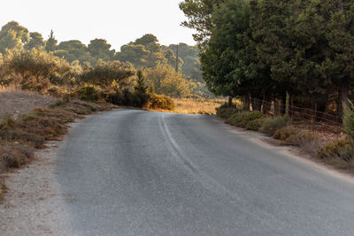 Road amidst trees in forest during autumn