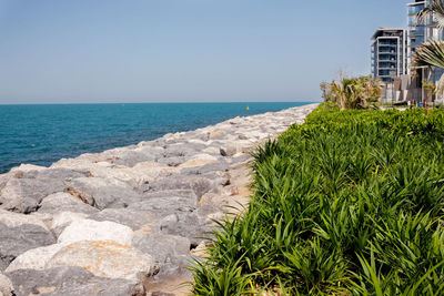 Dubai, uae, april 2019. beautiful view from the blue water island.