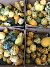 High angle view of pumpkin for sale at market stall