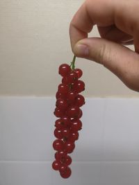 Midsection of person holding red berries
