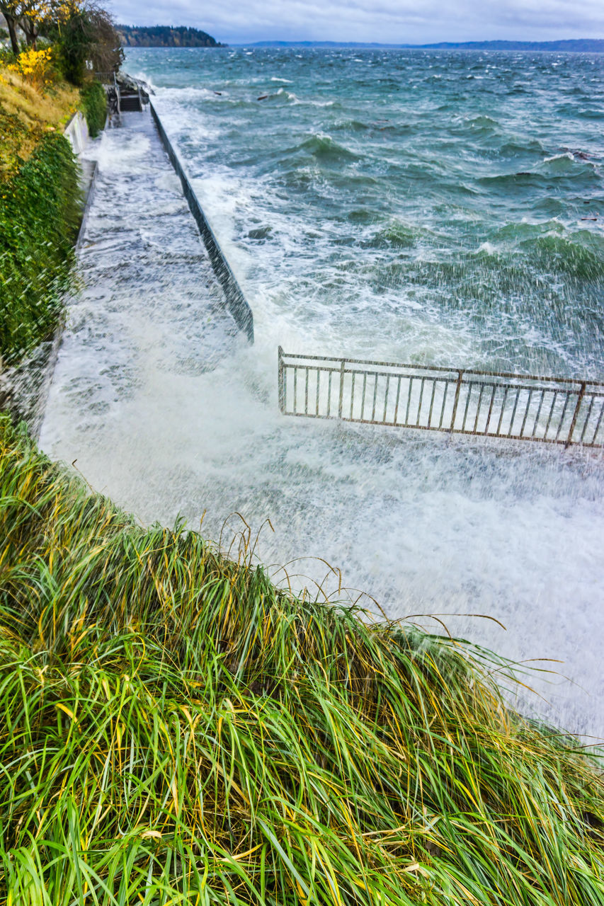 water, sea, shore, nature, land, beauty in nature, plant, motion, beach, scenics - nature, wave, coast, water sports, sky, no people, day, grass, body of water, outdoors, sports, tranquility, green, architecture, horizon over water, horizon, tranquil scene, ocean, environment, cloud, non-urban scene