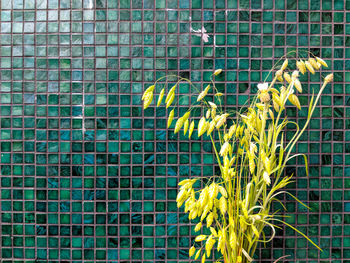 Full frame shot of swimming pool