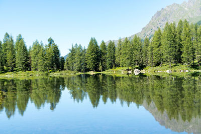 Scenic view of lake by trees against sky