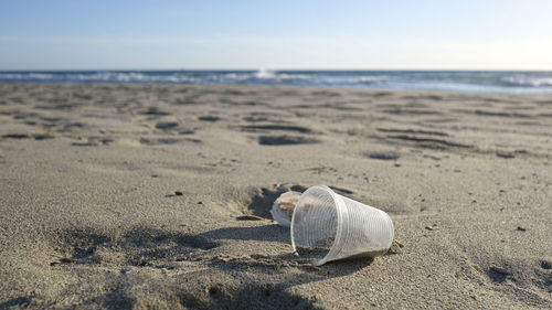 Disposable plastic glass discarded on sea coast ecosystem,nature waste pollution