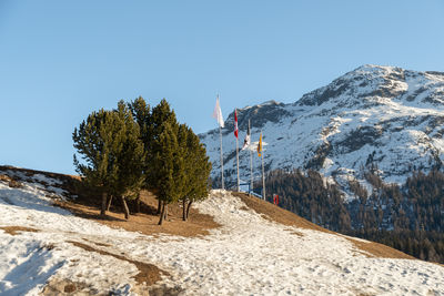 Saint moritz, switzerland, february 21, 2023 winter at the coast of the frozen lake on a sunny day