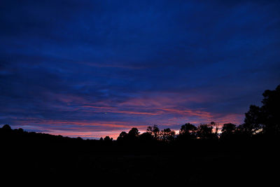 Silhouette trees against sky during sunset