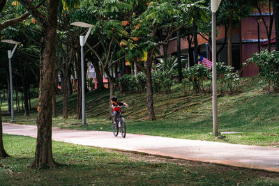 Jogging track with beautiful trees near residential area with child riding bicycle in motion.