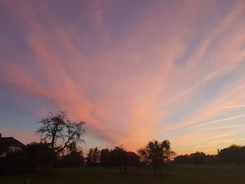 Silhouette trees on field against orange sky