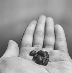 Close-up of person holding hands