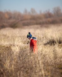 Boy standing amidst dry plants at farm