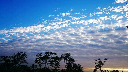 Low angle view of trees against cloudy sky