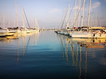 Sailboats moored in harbor