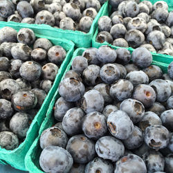 Blueberries for sale at farmers market