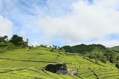 Scenic view of landscape against cloudy sky