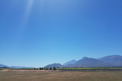 Scenic view of field against clear blue sky